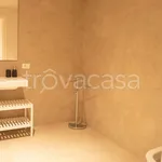 Rent 6 bedroom apartment of 300 m² in Piacenza