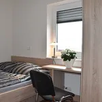 Miete 1 Schlafzimmer wohnung von 35 m² in Edewecht