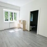 Pronájem bytu 2+1 v osobním vlastnictví 53 m², Hodonín