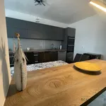 Rent 1 bedroom house of 746 m² in Přítluky