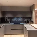 Rent 2 bedroom apartment of 85 m² in Turin