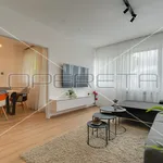 Rent 2 bedroom apartment of 58 m² in Zagreb