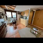 Rent 1 bedroom apartment of 43 m² in Madrid