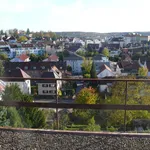 Rent 1 bedroom apartment of 60 m² in Stuttgart