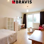 Rent 1 bedroom apartment in Brno