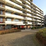 Rent 1 bedroom apartment of 58 m² in Rijswijk