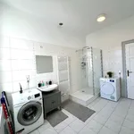 Rent 2 bedroom apartment of 57 m² in weißwasser