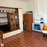 Rent 2 bedroom apartment of 80 m² in Roma