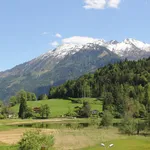 Helle 1-Zimmer Wohnung in Goldegg zu vermieten!