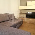 Rent 1 bedroom apartment in livorno