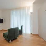 Rent 1 bedroom apartment in Milan