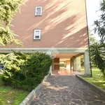 Rent 4 bedroom apartment of 150 m² in Roma