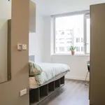 Rent 8 bedroom apartment in dublin