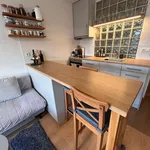 Pronajměte si 1 ložnic/e byt o rozloze 29 m² v Prague