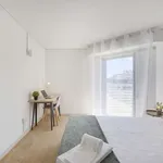 Rent a room in lisbon