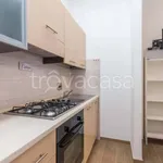 Rent 1 bedroom apartment of 35 m² in Torino