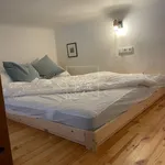 Rent 1 bedroom apartment of 25 m² in Capital City of Prague