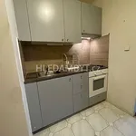 Rent 1 bedroom apartment of 31 m² in Capital City of Prague