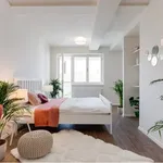 Pronajměte si 2 ložnic/e byt o rozloze 85 m² v Prague