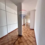 Rent 5 bedroom apartment of 144 m² in Trapani