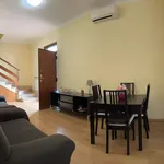 Rent 4 bedroom house of 120 m² in Roma