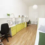 Rent 1 bedroom apartment of 10 m² in Brno