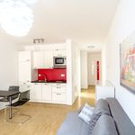 Rent 1 bedroom apartment of 34 m² in Dresden