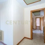 Rent 5 bedroom apartment of 125 m² in Catania