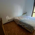 Rent 1 bedroom apartment of 38 m² in Trento