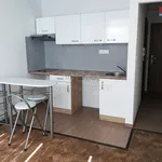 Rent 1 bedroom apartment of 20 m² in Louny