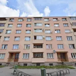 Rent 1 bedroom apartment in Sokolov