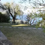 Rent 3 bedroom apartment of 75 m² in Torri del Benaco