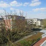 Rent 2 bedroom apartment of 64 m² in Hannover