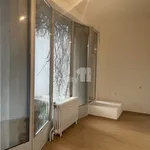 Rent 2 bedroom apartment of 90 m² in Capital City of Prague