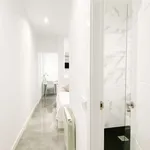 Rent 1 bedroom apartment in madrid