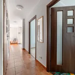 Rent 3 bedroom apartment of 50 m² in Warszawa Białołęka