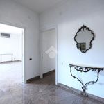Rent 5 bedroom apartment of 162 m² in Cagliari