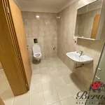 Rent 1 bedroom apartment of 33 m² in Prague