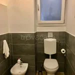 Rent 1 bedroom apartment of 25 m² in Torino