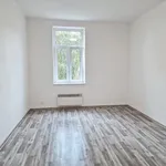 Rent 1 bedroom apartment in Ostrava