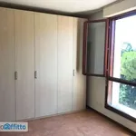 Rent 2 bedroom apartment of 48 m² in Florence