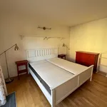 Pronajměte si 3 ložnic/e byt o rozloze 120 m² v Prague