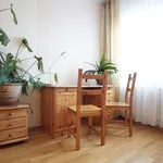 Rent 1 bedroom apartment of 47 m² in berlin