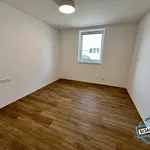 Rent 3 bedroom apartment in Opava