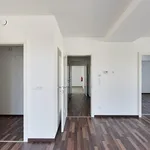 Rent 3 bedroom apartment of 75 m² in Ternitz