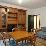 Rent 4 bedroom apartment of 80 m² in Ferrara