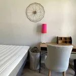 Rent a room in brussels