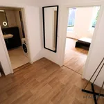 Rent 1 bedroom apartment of 35 m² in Brno