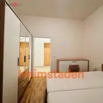 Rent 2 bedroom apartment of 41 m² in Ostrava