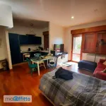 Rent 1 bedroom apartment of 100 m² in Rome